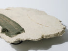 Ceramic Wall Hanging