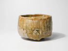 Iga Chawan
