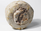 Iga Chawan