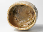 Iga Chawan