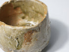 Iga Chawan