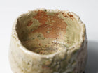 Iga Chawan