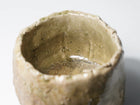 Iga Chawan