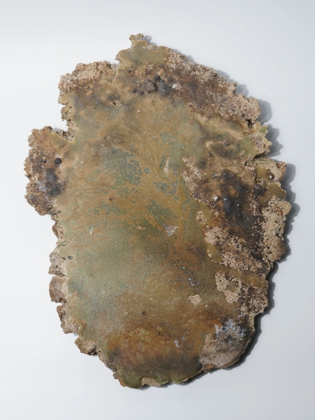 谷本貴 陶展